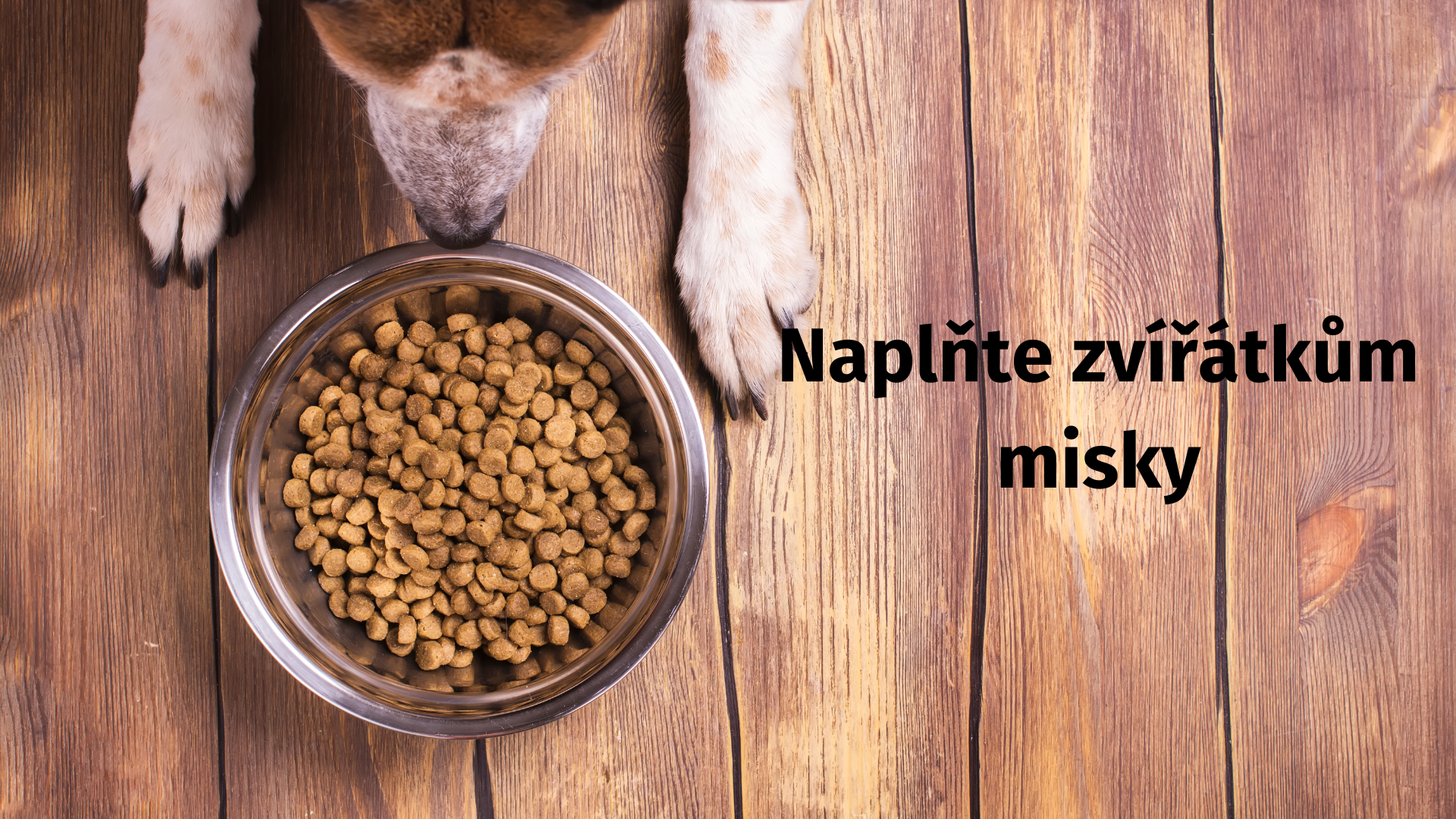 Naplňte zvířátkům misky