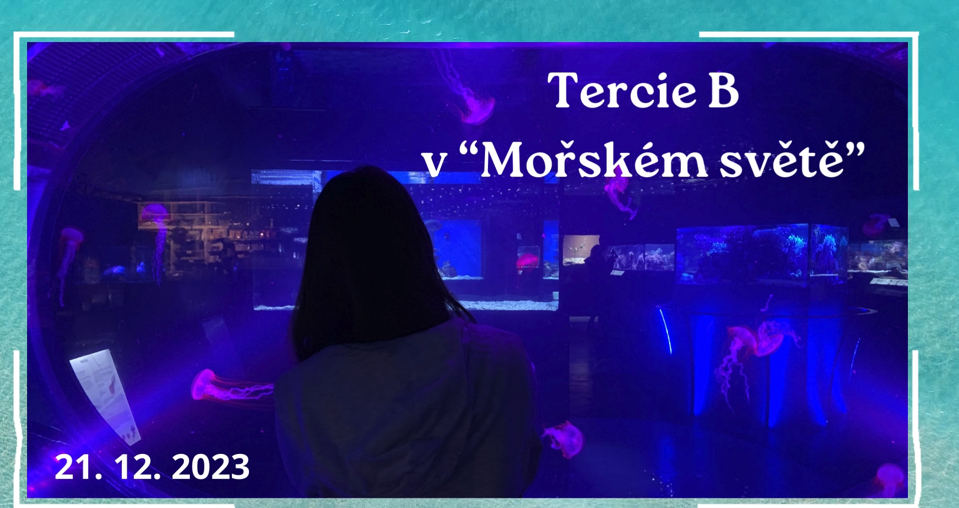 Tercie B v „Mořském světě“