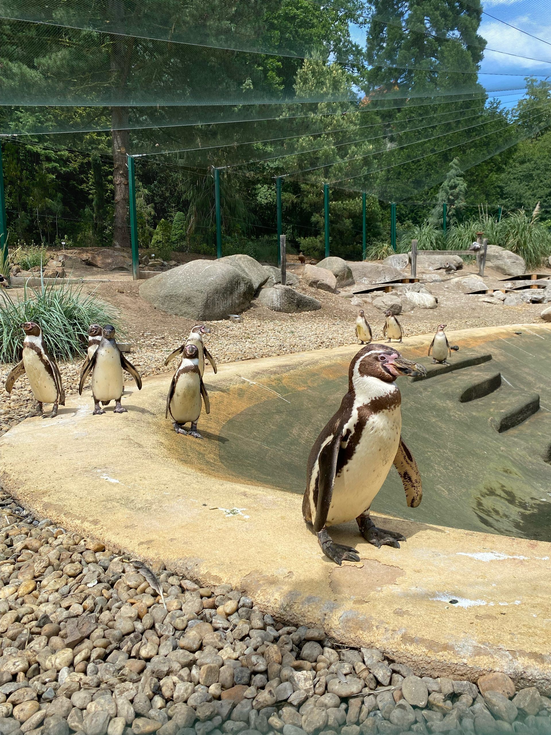 II. B navštívila Zoologickou a botanickou zahradu města Plzně