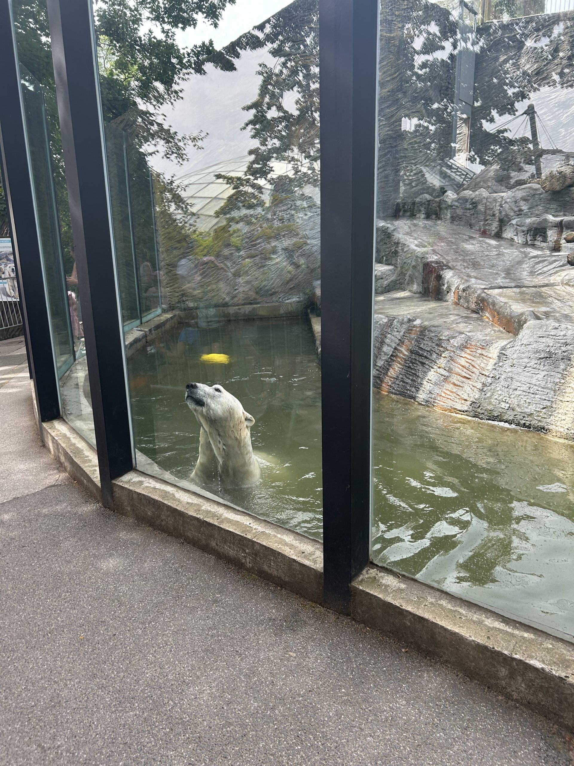 Prima A a sekunda B v ZOO Praha